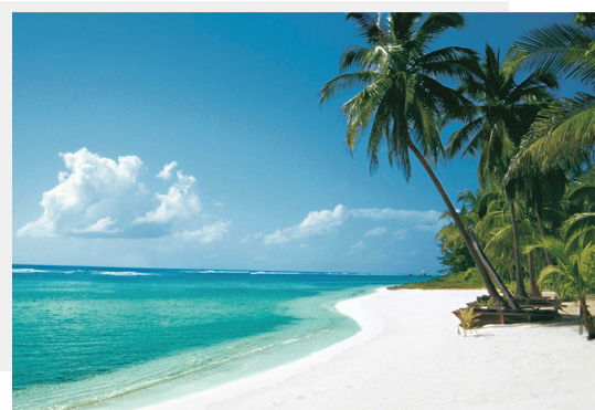 Lighthouse Point Residences